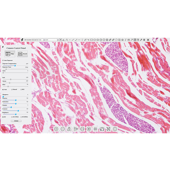 BLC-221 LCD Digital Microscope Camera (Sony IMX307 Sensor, 2.0MP)